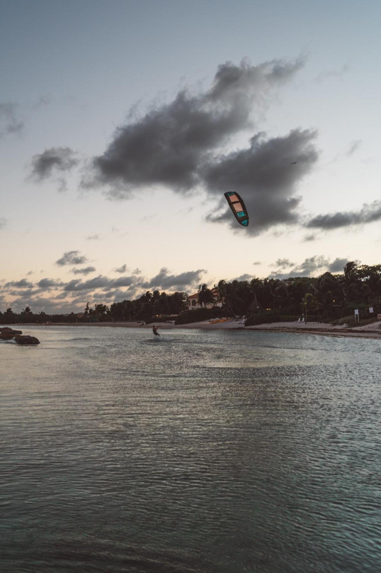 Casa Manglar Riviera Maya 푸에르토 아벤투라스 외부 사진